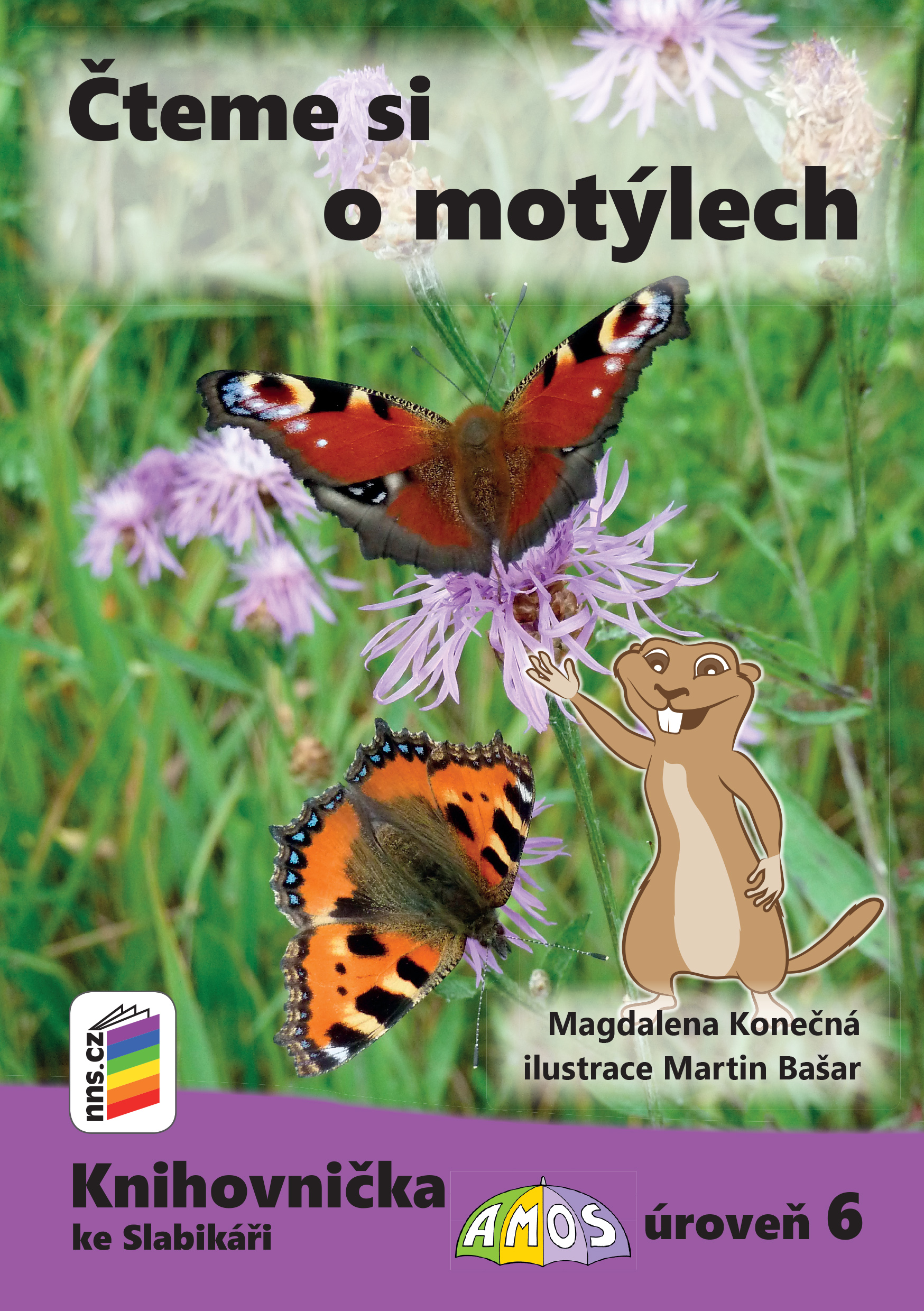 Náhled